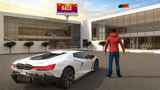 汽车终端经销商(Car Dealership Saler Simulator)