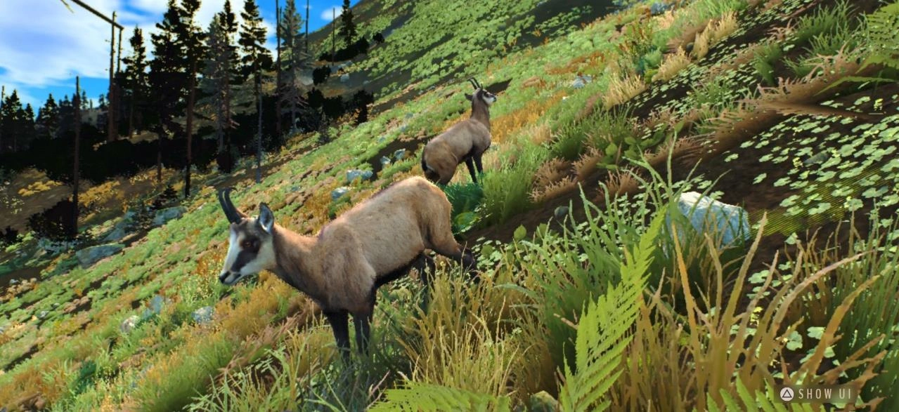 猎人之路狂野欧洲(Way of the Hunter Wild Europe)