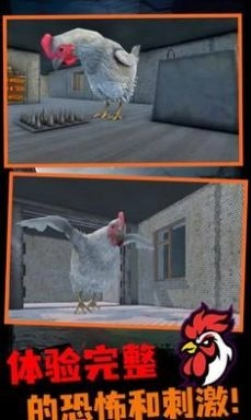 鸡你太丑官方正版