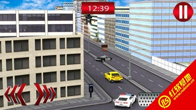 真正的警察追捕黑帮(Real Police Chase Gangster: Cops)