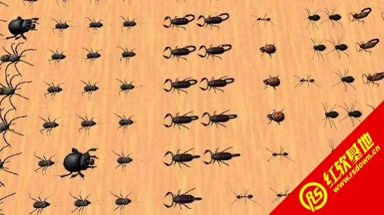 臭虫战斗模拟器3D(Bug Battle Simulator)