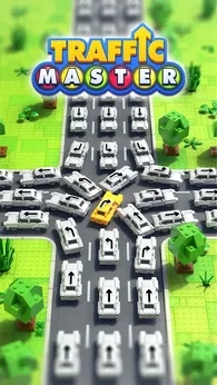 Traffic Master