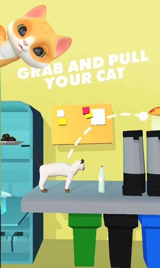 忍者拉伸猫(Ninja Cat)