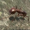 3d蚂蚁模拟器(Ant Simulation 3D)