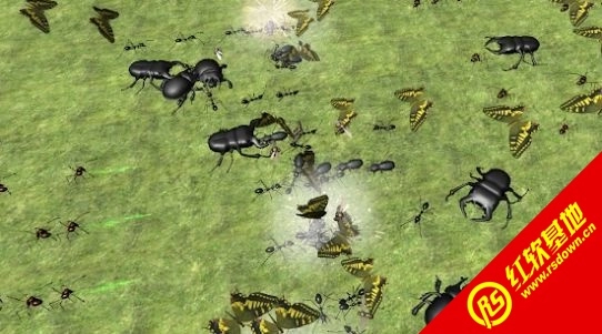 臭虫战斗模拟器3D(Bug Battle Simulator)