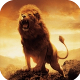 野生动物生活模拟