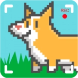 像素博主模拟器(Cooltuber)