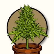 农作物农场(Cannabis Farm)直装游戏版