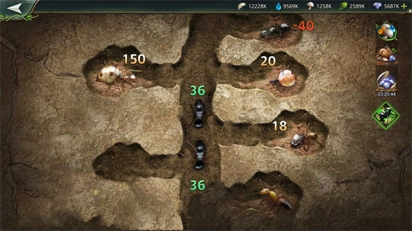 小小蚁窝游戏正版