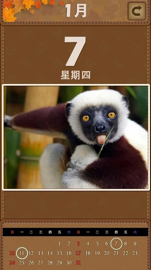 萌宠日历2026(Animal Puzzle)