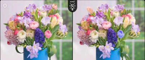 时尚找茬手机正版