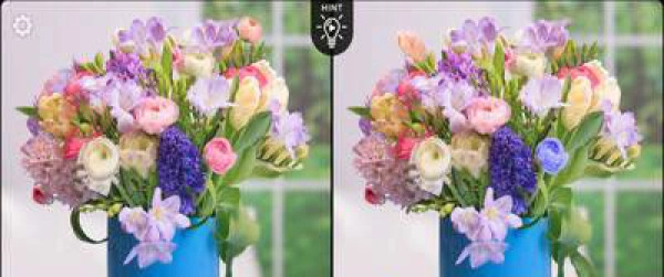 时尚找茬手机正版