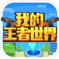 我的王者世界
