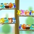 鸟类分色大师(Bird Sort - Color Puzzle)
