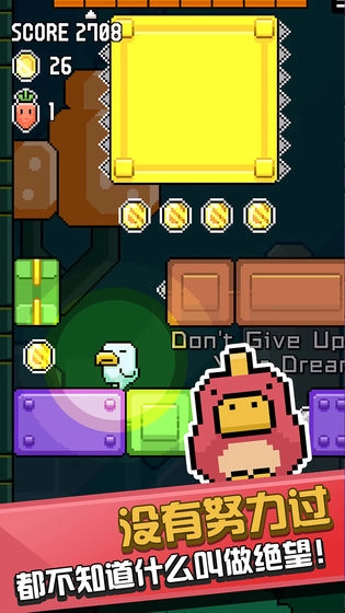 鸟大了什么林子都有游戏最新版