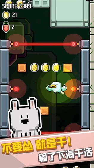 鸟大了什么林子都有游戏最新版