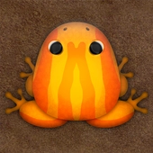 口袋里的青蛙(Pocket Frogs)