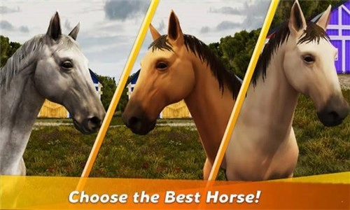 赛马模拟器