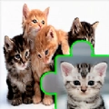可爱猫猫拼图(Cats Jigsaw)通用版
