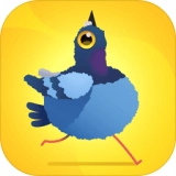 疯狂鸽子模拟器(Pigeon)