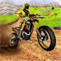 越野自行车锦标赛(Dirt Bike Racing Championship)安卓直装版