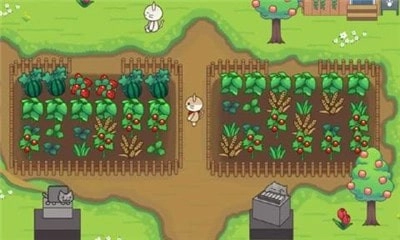 猫猫树林(Cat Forest)