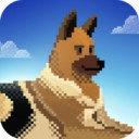 狗狗收容所救援游戏最新版