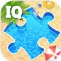 游泳池拼图(IQ Puzzle SwimmingPool)