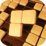 木头进阶方块(Wood Plus Block)