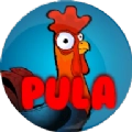 红鸡斗鸡模拟器红鸡(Manok Na Pula)