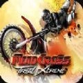 越野摩托车极限试验(Motocross: Trial Extreme)