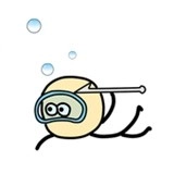 阿库阿国王(Acua King)