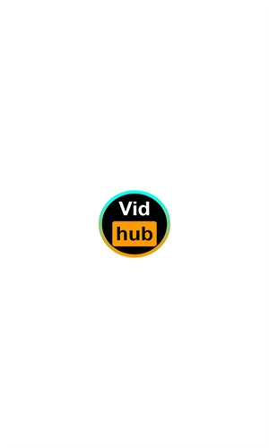 Vidhub 正版