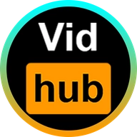 Vidhub 正版