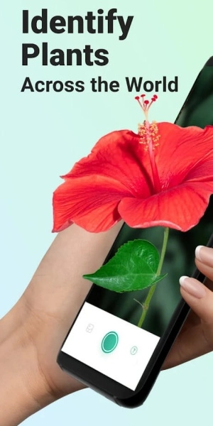 形色识植物 安卓版