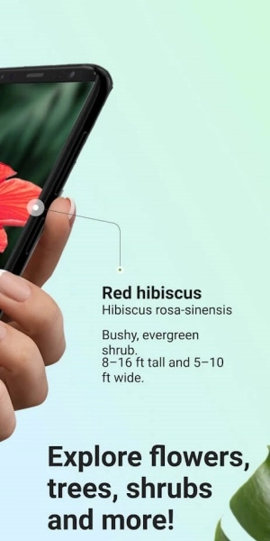 形色识植物 安卓版