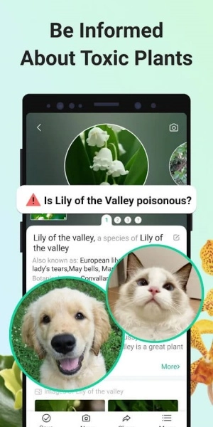 形色识植物 安卓版