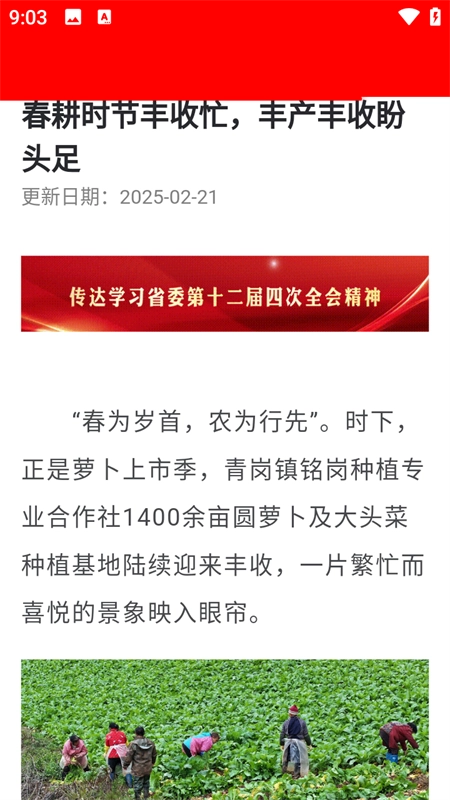 掌上射洪 无广告版