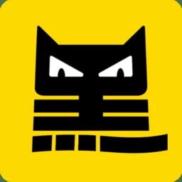 数智黑猫手机版