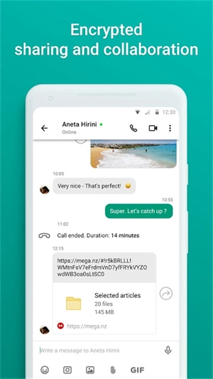 MEGA云盘 通用版图2