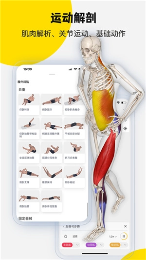 3DBody解剖中文版图1