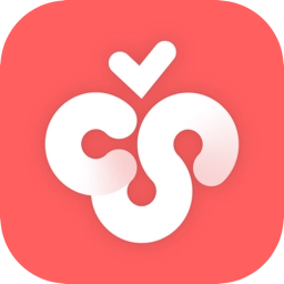 cherrystudio手机版