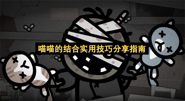 喵喵实用结合技巧的分享指南