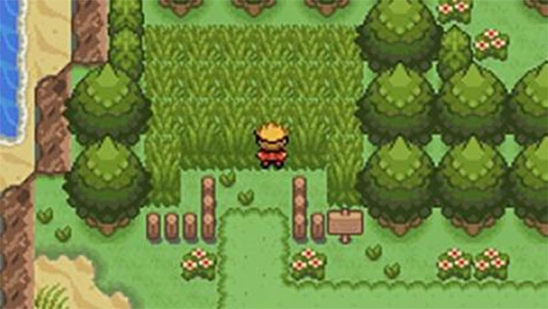 口袋妖怪釉色汉化版图2