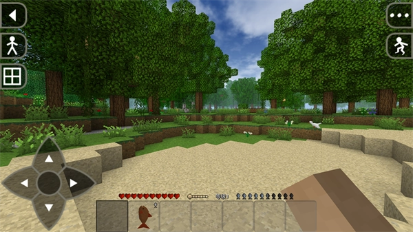 生存战争中文图1