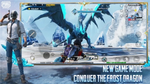 PUBG越南服(PUBG Mobile VN)图1