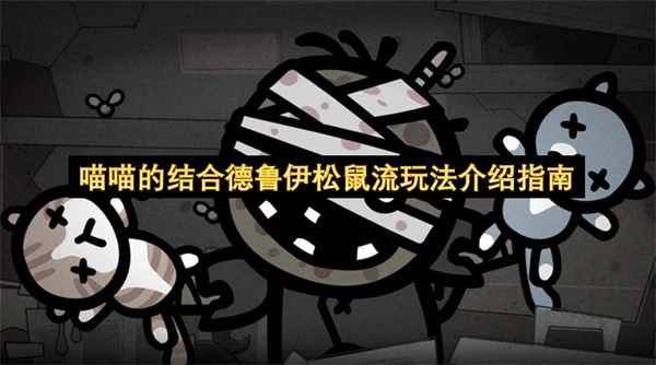 喵喵的结合德鲁伊松鼠流玩法指南