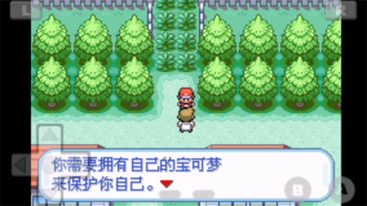 口袋妖怪火红gba版(3)