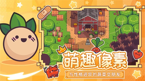 大头菜小子避税历险记(1)