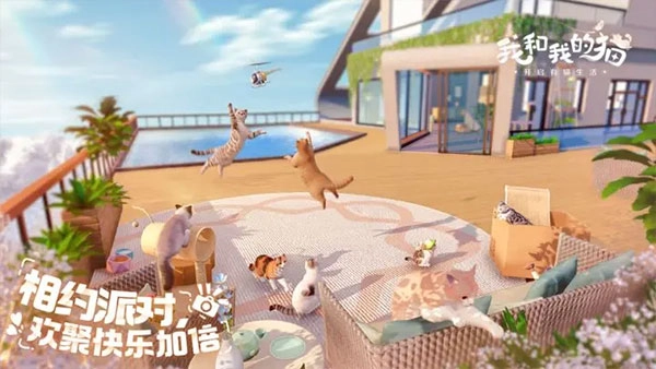 我和我的猫游戏安卓版(3)